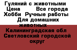 Гуляний с животными › Цена ­ 70 - Все города Хобби. Ручные работы » Для домашних животных   . Калининградская обл.,Светловский городской округ 